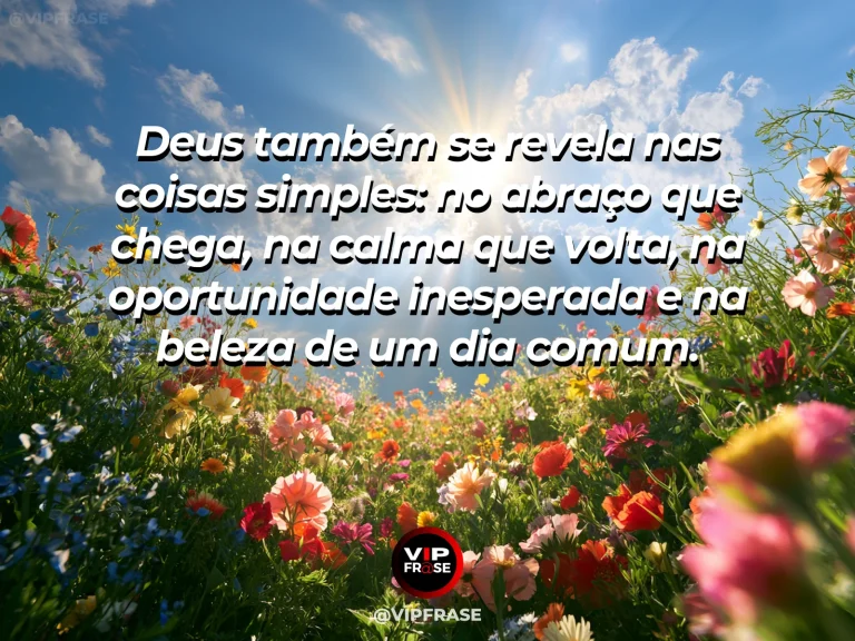 Mensagem sobre pequenas bênçãos de Deus com jardim florido e luz solar.