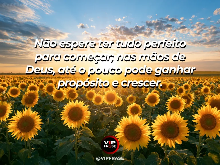 Arte sobre deus sabe fazer muito com pouco, com pequeno vaso com muda verde diante de um jardim exuberante.