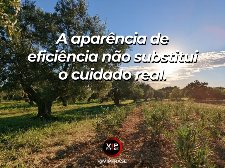 Mensagem de sabedoria sobre cuidado além da eficiência, com regador de cobre ao lado de flores recém-cuidadas.