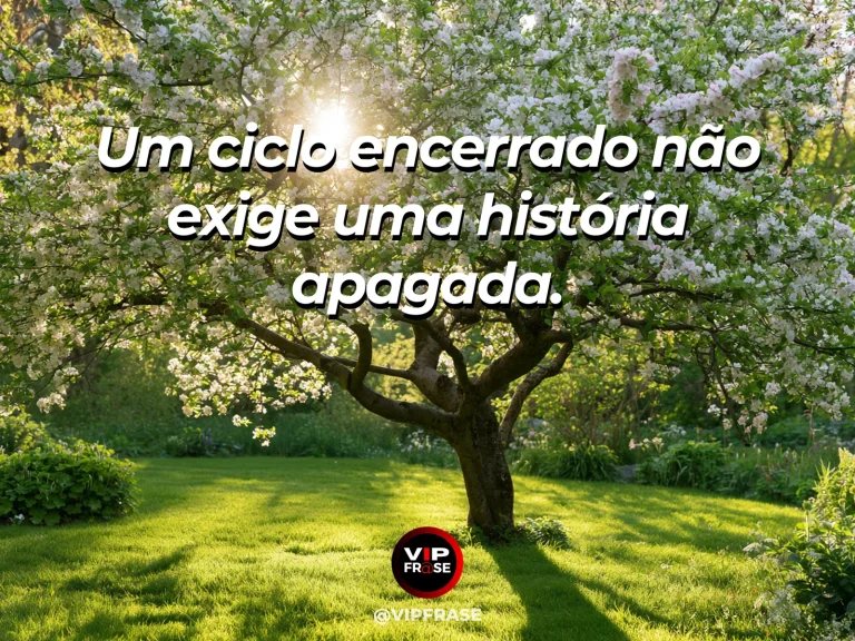 Frase sobre recomeço e encerrar um ciclo sem apagar a história, em cena de árvore antiga florida e pequeno jardim novo iluminados pelo mesmo sol.