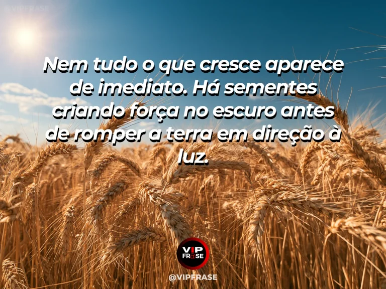 Broto verde surgindo da terra em direção à luz, simbolizando esperança e crescimento.