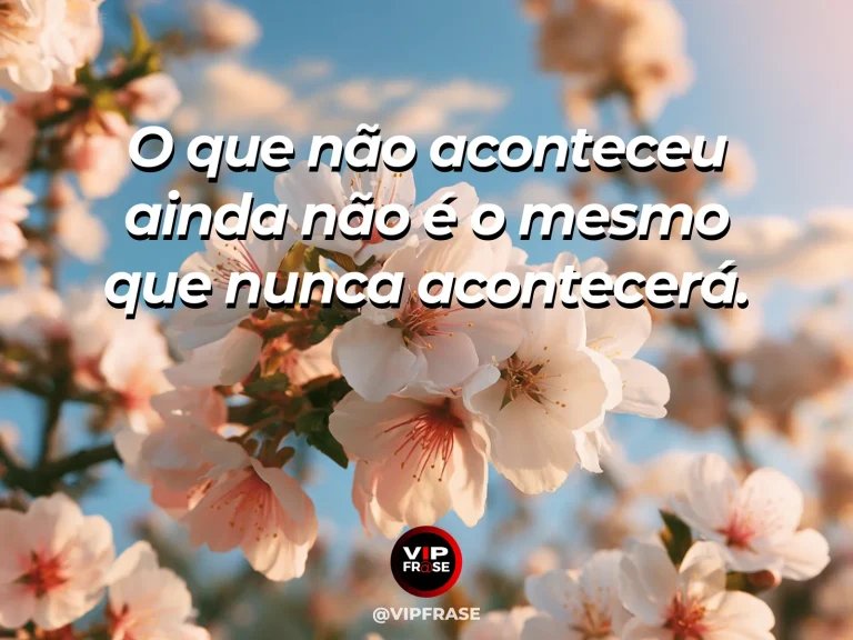 Frase de esperança com botão de flor prestes a abrir sob luz suave.