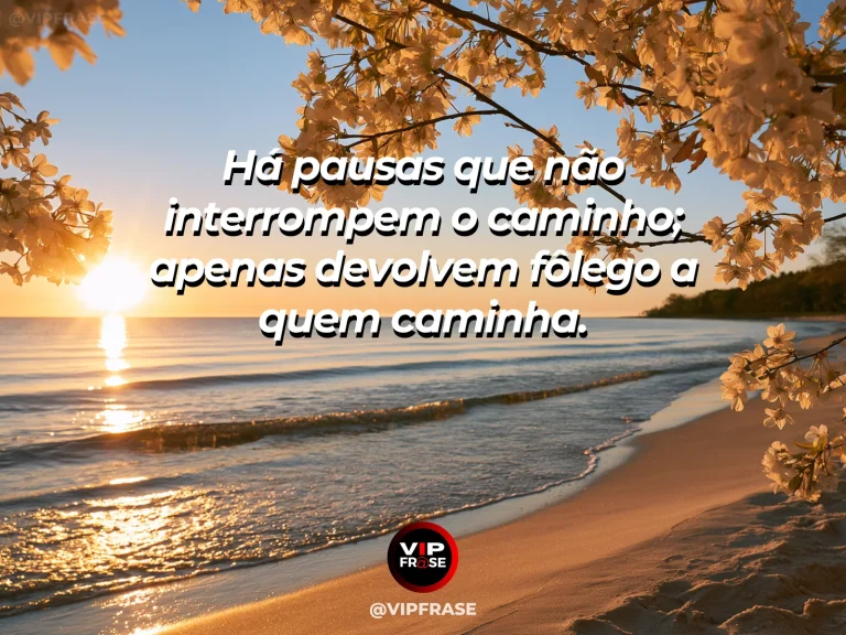 Frase de esperança com banco de madeira diante de um vale ensolarado cercado por flores.