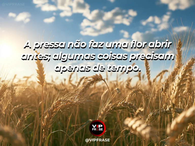 Frase de esperança com botão de flor e flores abertas em um jardim iluminado.
