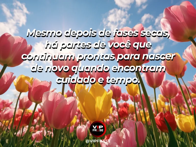 Deserto coberto de flores após a chuva, simbolizando esperança e a capacidade de florescer novamente.