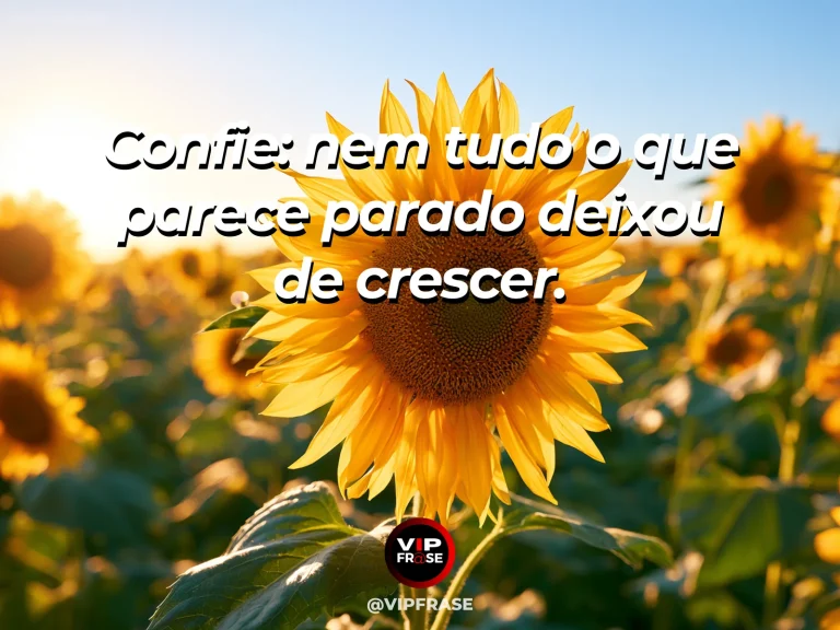 Frase de esperança com raízes e brotos em um jardim ensolarado.
