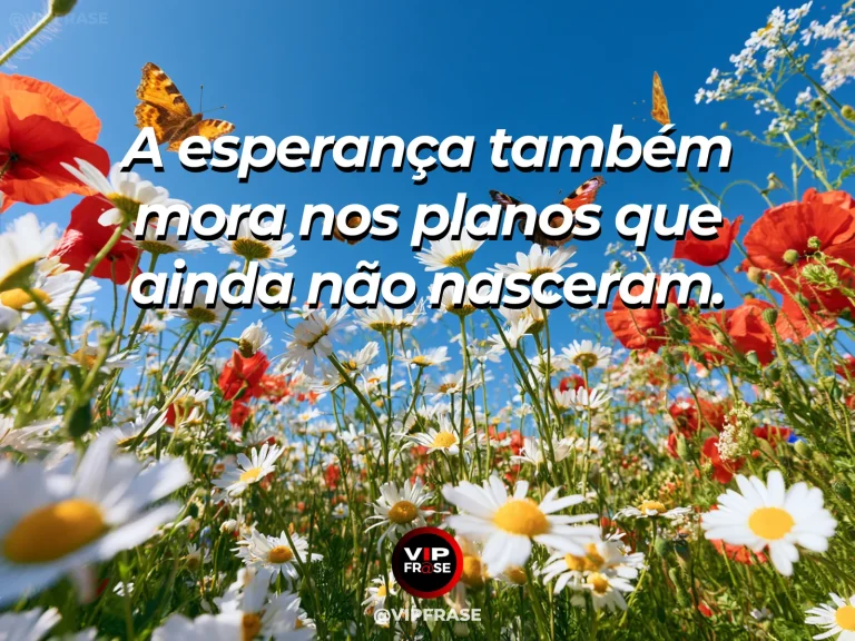 Frase de esperança com campo aberto no início da primavera com pequenos brotos.