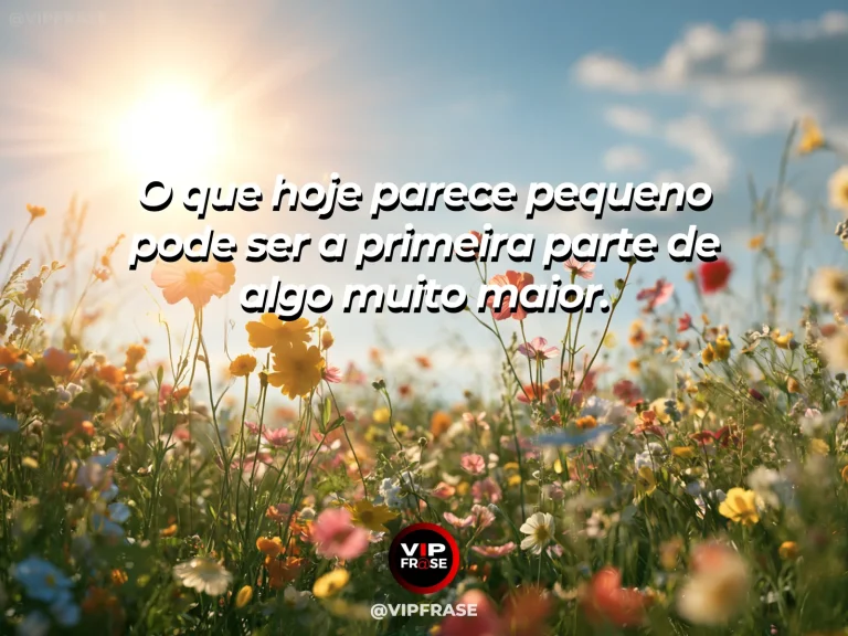 Frase de esperança com pequeno broto verde diante de um campo iluminado.