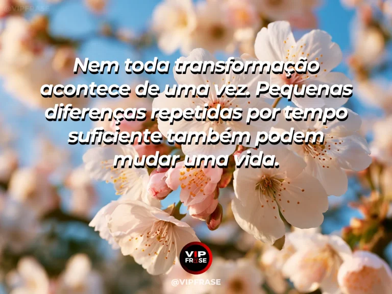 Sequência de flores em diferentes estágios de abertura, representando uma mensagem de esperança.
