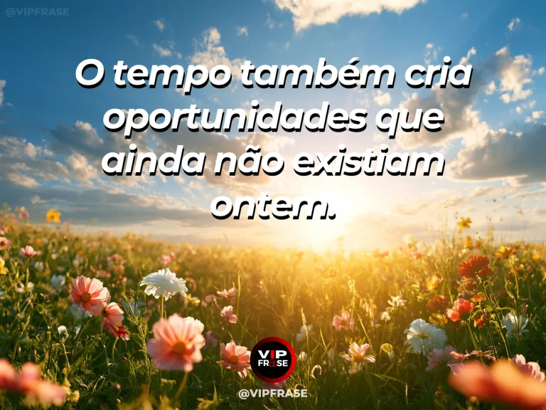 Frase de esperança com campo ao amanhecer com flores novas iluminadas pelo sol.