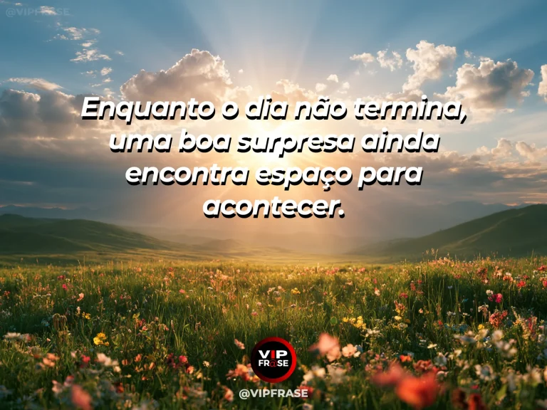 Frase de esperança com campo florido vibrante sob um final de tarde luminoso.