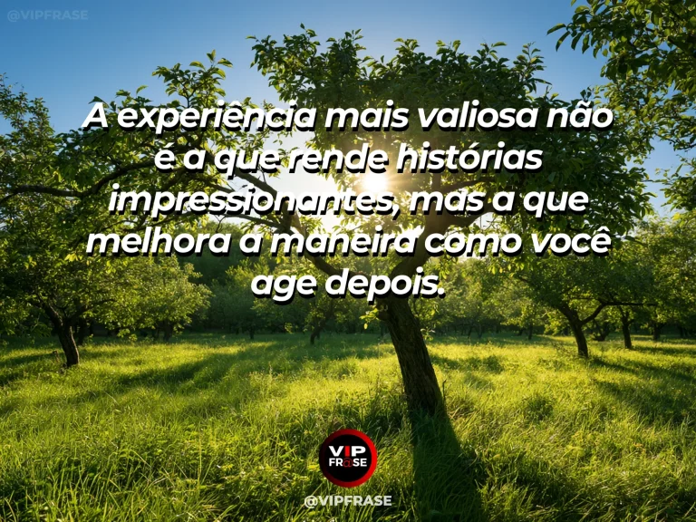 Frase de sabedoria sobre aprendizagem pela experiência, com árvore antiga oferecendo sombra a pequenos brotos junto de caminho claro.