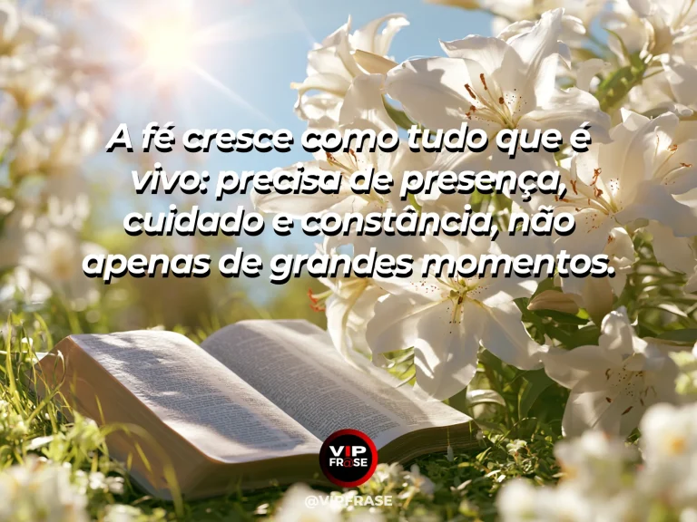 Frase de fé com mudas verdes com gotas de orvalho em uma horta iluminada pela manhã.