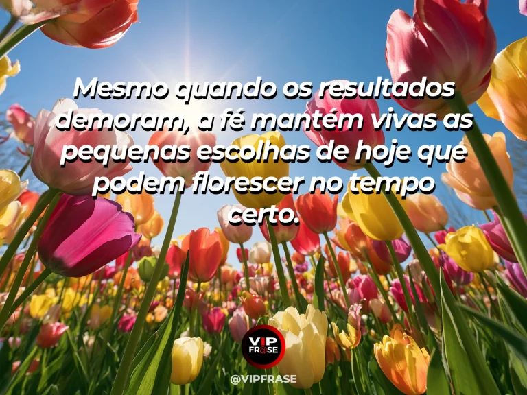 Frase de fé sobre esperança durante a espera, com campo de girassóis depois da chuva sob céu azul.