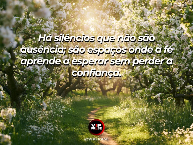 Floresta com névoa leve e feixes de luz entre árvores altas