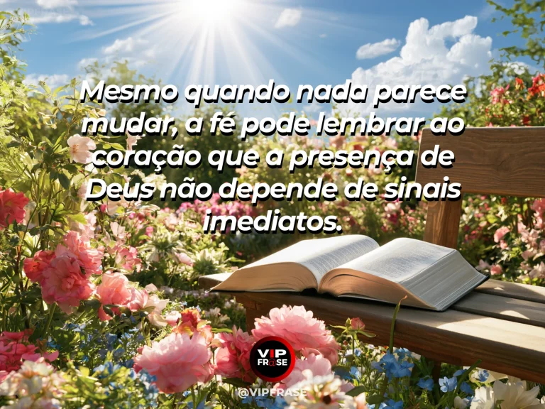 Campo sob céu estrelado com horizonte começando a clarear