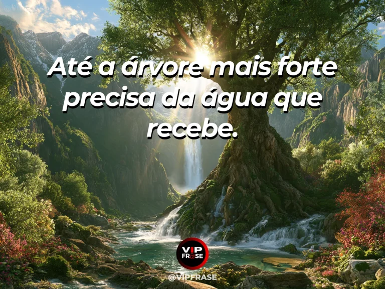 Frase de força sobre força que também depende, com cedro monumental de raízes junto a uma cachoeira cristalina.