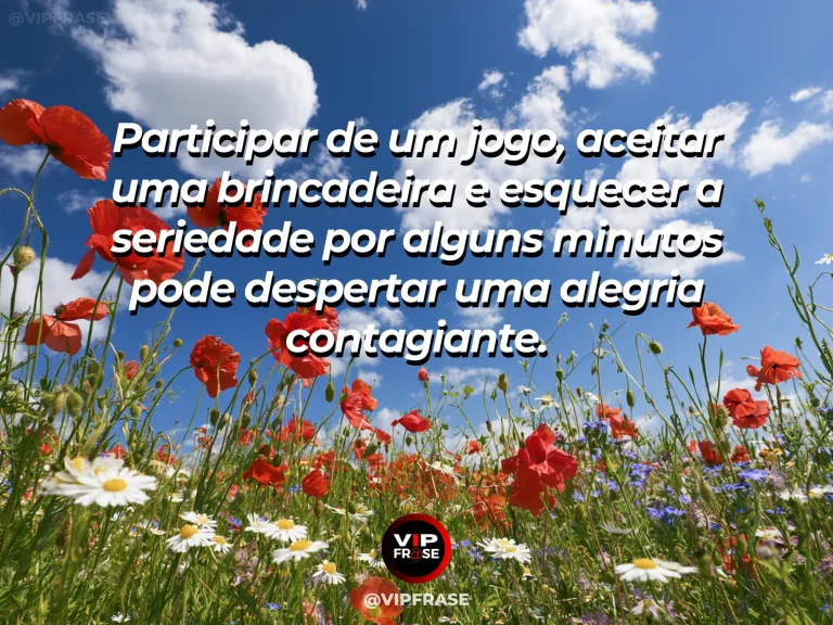 Frase sobre felicidade com colorful handmade kites floating in sunny blue sky over lively flower meadow.