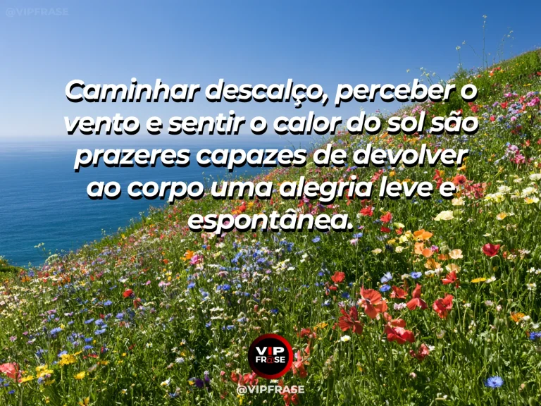 Frase sobre felicidade em cenário de sunny coastal meadow above turquoise sea com wildflowers.