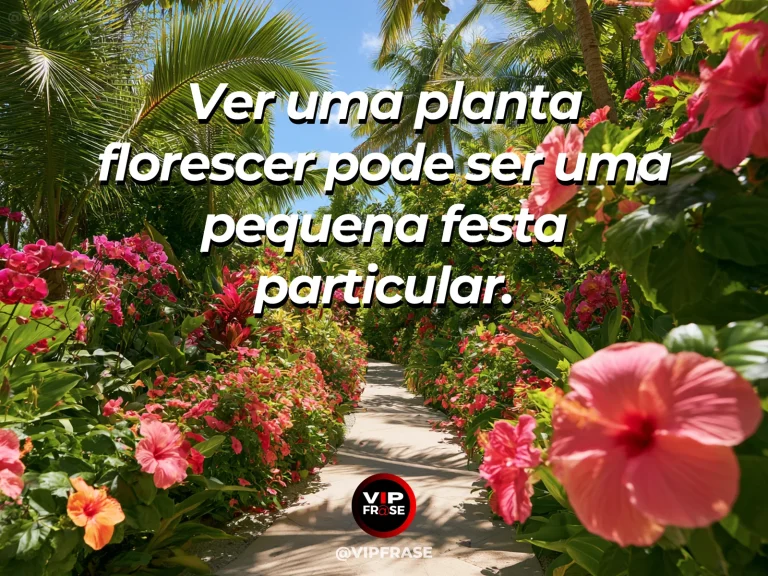 Frase sobre felicidade em cenário de flowering potted plants in cottage garden.
