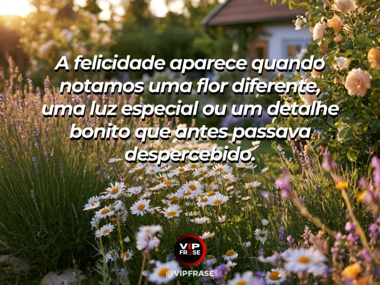Frase sobre felicidade com macro closeup of dew sparkling on vivid multicolor spring flowers.
