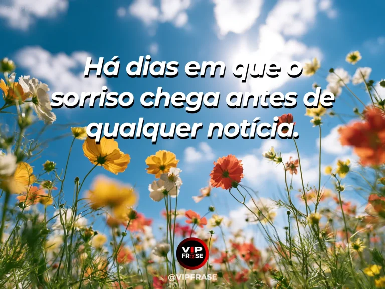 Frase sobre felicidade com orange cosmos flowers sparkling in early morning sun.