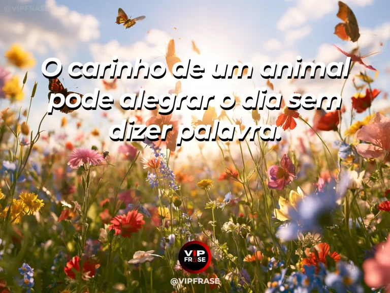Frase sobre felicidade em cenário de friendly golden dog in flower meadow.