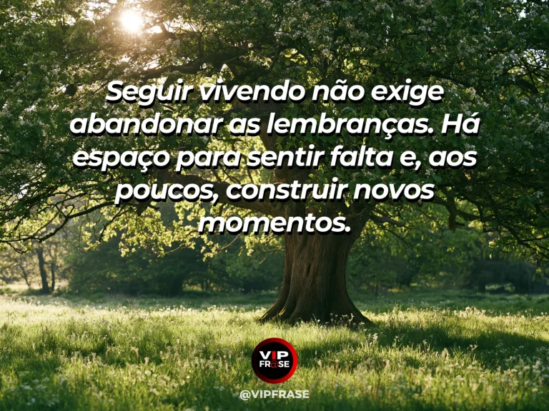 Frase de luto sobre recomeco, com broto junto à árvore.