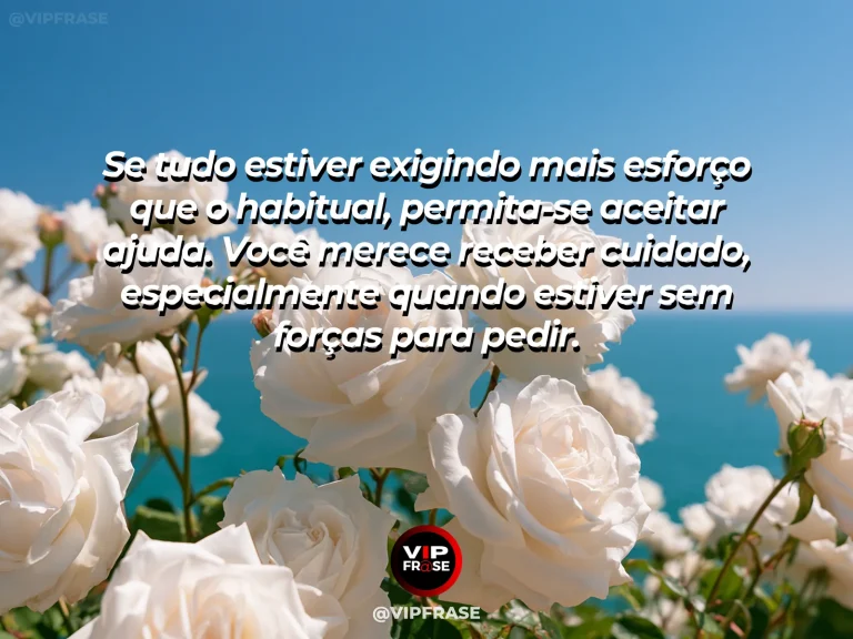 Frase de luto para enviar condolências, com rosa branca com orvalho.