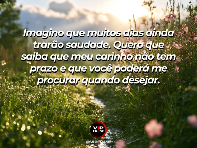 Frase de luto para enviar condolências, com flores brancas em jardim ao entardecer.