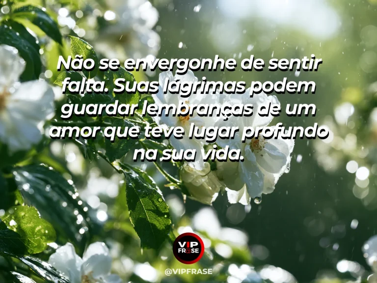 Frase de luto sobre saudade, com rosa com orvalho.