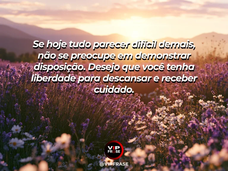 Frase de luto para enviar condolências, com campo de flores claras ao entardecer.