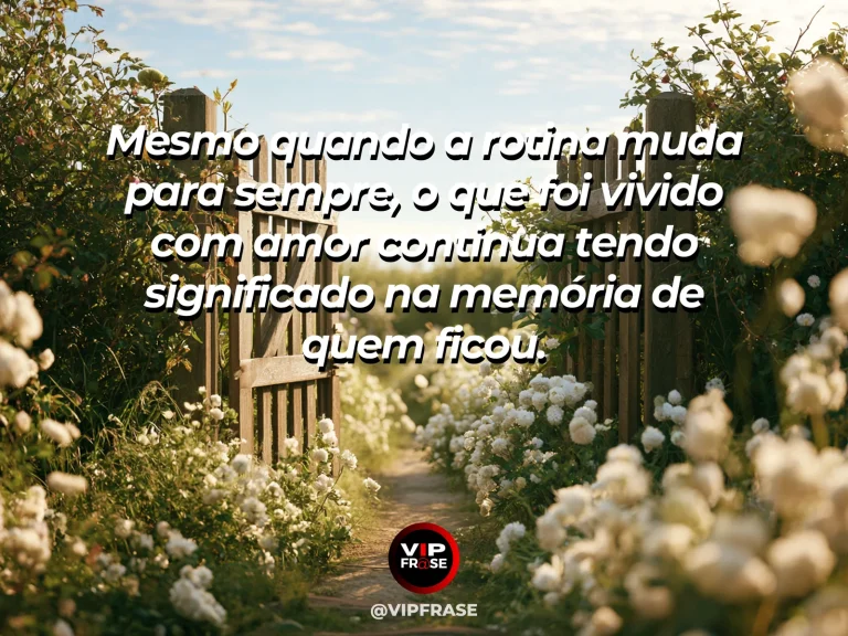 Frase de luto sobre saudade, com diário com pétalas.