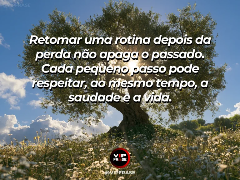Frase de luto sobre recomeco, com novas folhas.