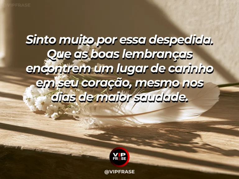 Frase de luto para confortar alguém, com pétalas brancas junto a fotografias sem rostos.
