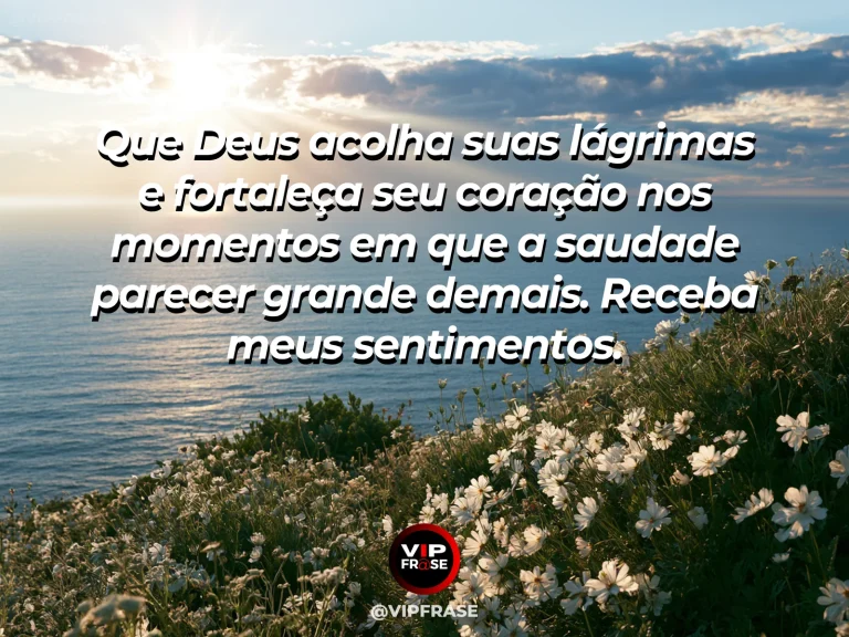 Frase de luto para confortar alguém, com feixes de luz sobre flores silvestres.