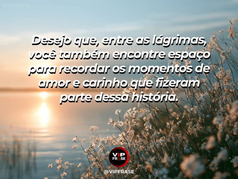 Frase de luto para confortar alguém, com campo de flores ao entardecer.