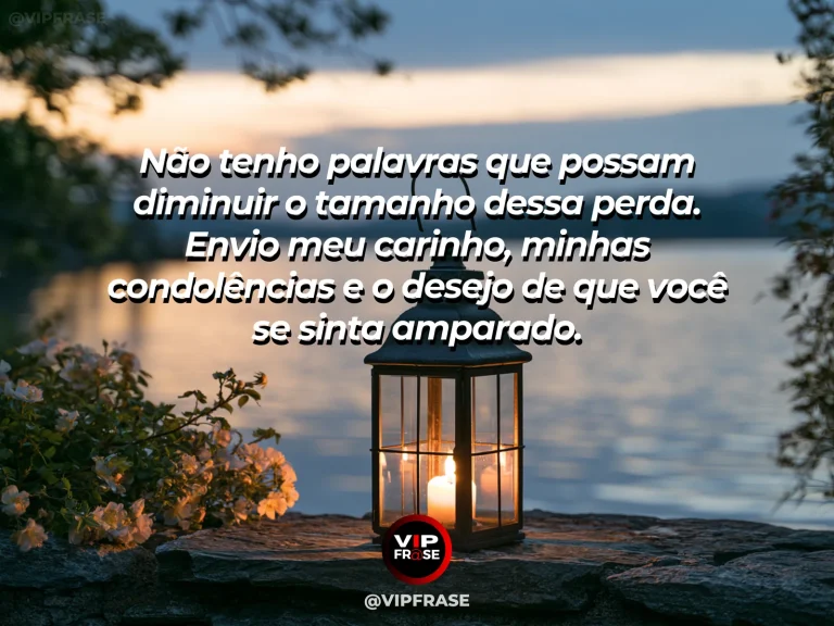 Frase de luto para confortar alguém, com flores brancas com luz da manhã.