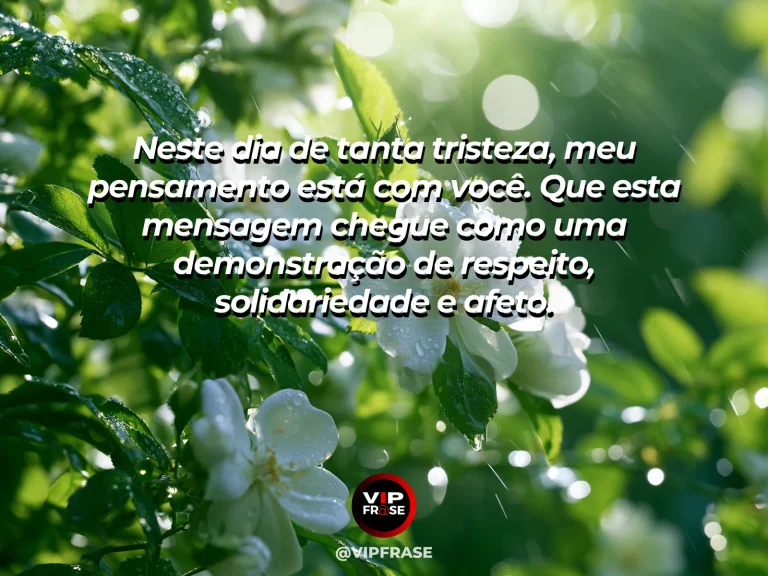 Frase de luto para enviar condolências, com camélias brancas sob luz dourada.