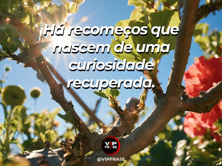 Frase de recomeço sobre curiosidade para recomeçar, com cenário de pomar luminoso com pequenas flores descobertas por entre folhas verde-vivas.