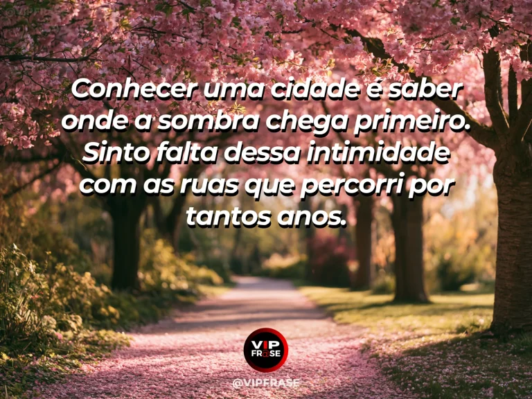 Frase de saudade sobre a intimidade perdida com as ruas, com rua arborizada com calçada de pedras e flores ao sol.