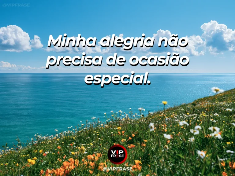 Frase de status sobre alegria sem ocasião especial com campo aberto com flores amarelas ao sol.