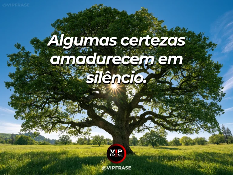Frase de status sobre certezas que amadurecem com oliveira antiga numa colina ao amanhecer.