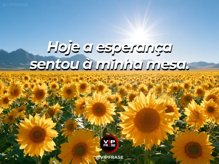 Frase de status sobre esperança presente hoje com mesa rústica com pão e flores diante de campo ao amanhecer.