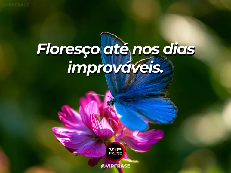 Frase para status sobre florescer mesmo nas dificuldades, com flores silvestres coloridas brotando entre pedras em encosta ensolarada.