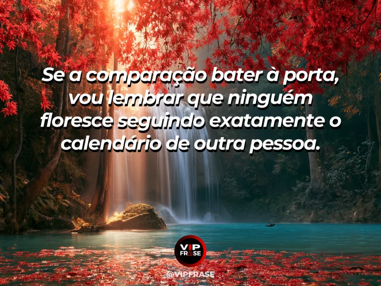 Frase de status sobre florescer no próprio tempo com flores diversas em diferentes estágios num jardim iluminado.