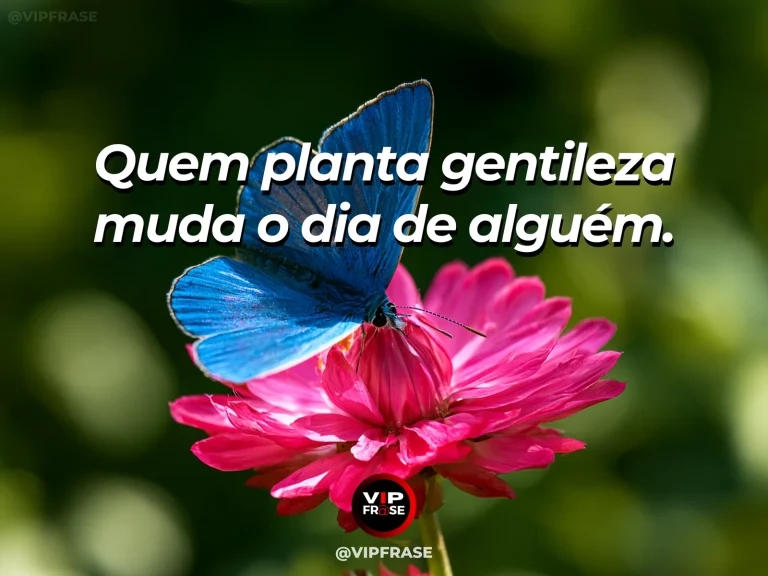 Frase de status sobre gentileza que transforma o dia com mãos oferecendo pequeno buquê de flores silvestres em jardim.