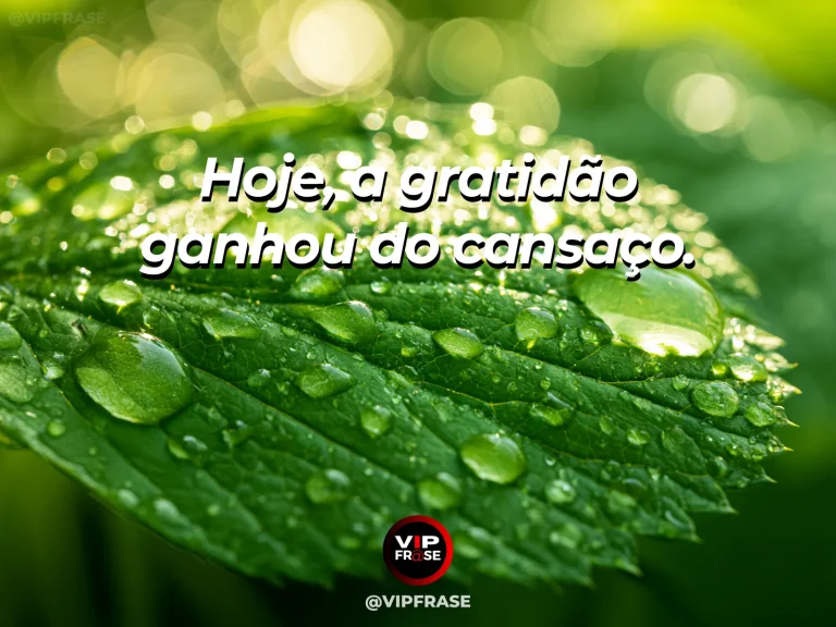 Frase para status sobre gratidão apesar do cansaço, com xícara de chá junto a janela ensolarada com flores frescas.