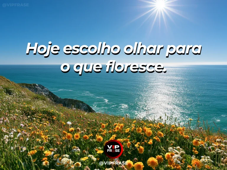Frase para status sobre olhar para o lado bom, com jardim exuberante de flores laranjas rosas e amarelas ao amanhecer.