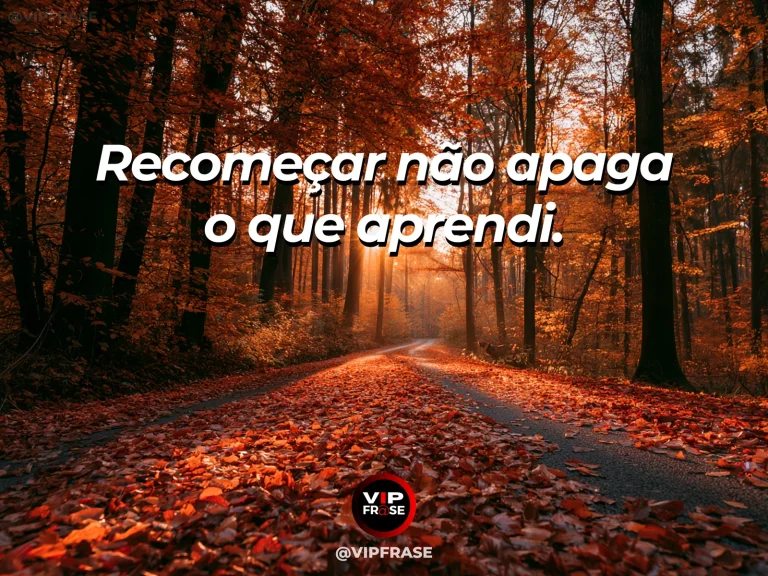 Frase para status sobre recomeçar com aprendizados, com trilha nova cruzando mata verde com sol filtrado pelas árvores.